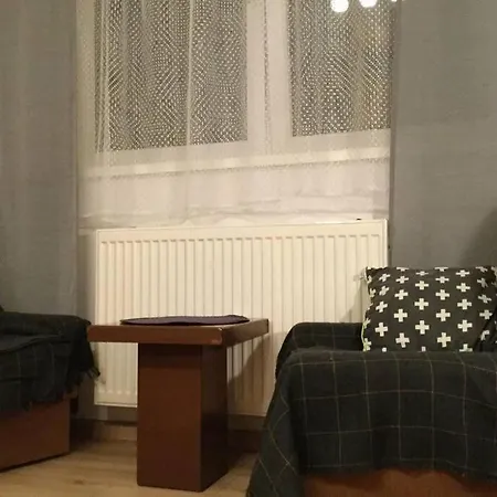 Apartment Spacious Near City Center *