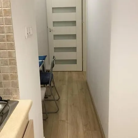Spacious Near City Center Krakow