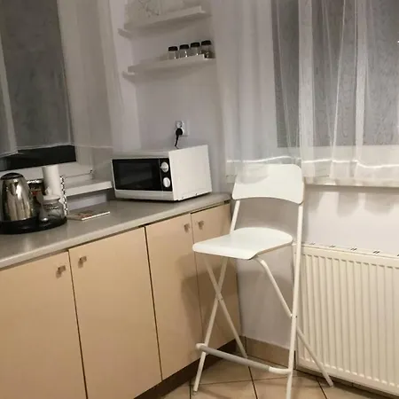Apartment Spacious Near City Center